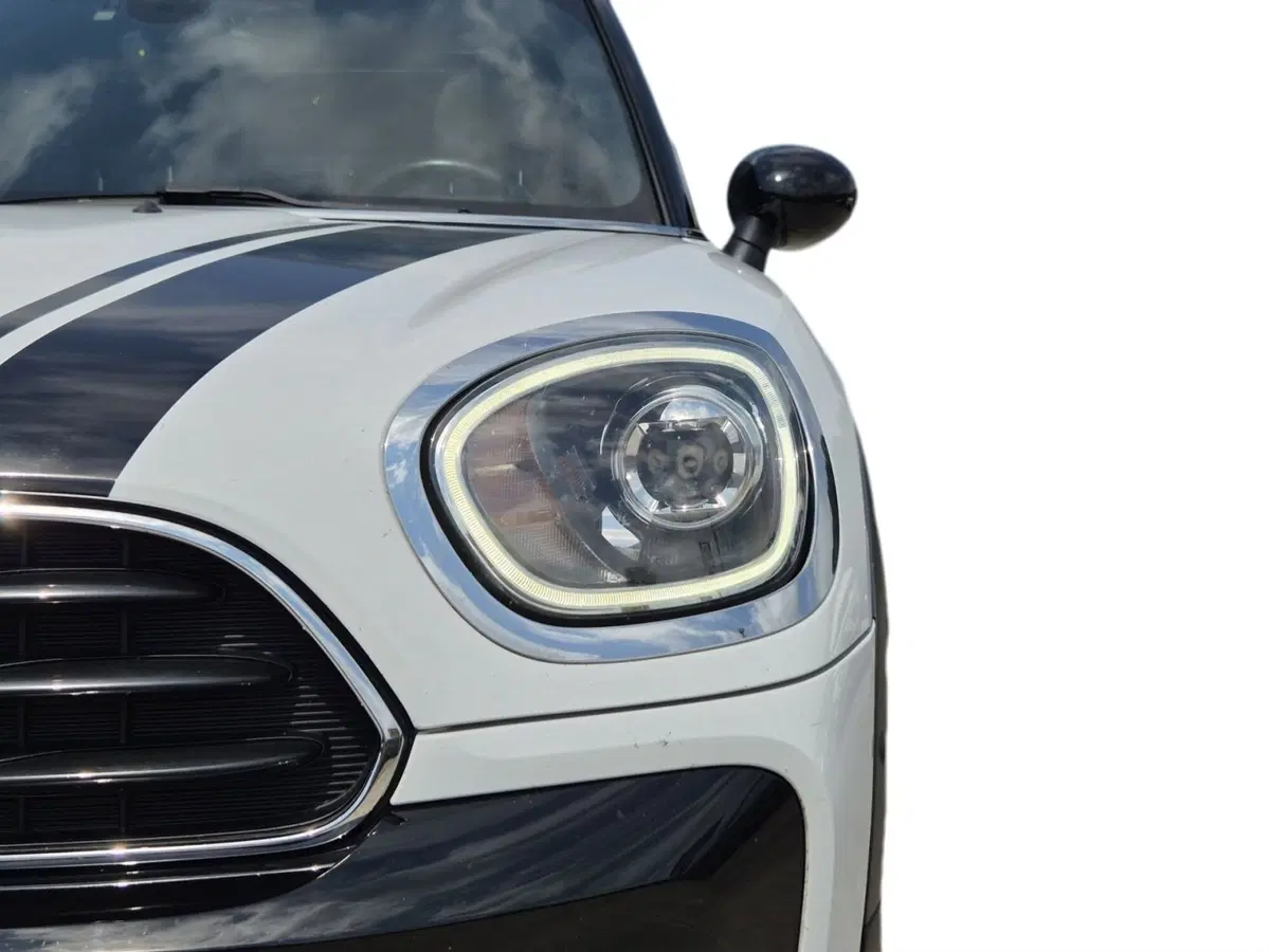 MINI Mini Countryman usata  (17)