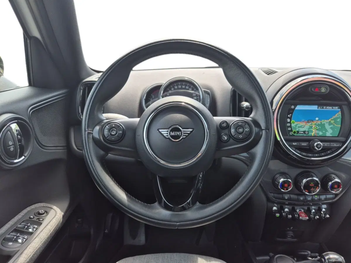 MINI Mini Countryman usata  (18)