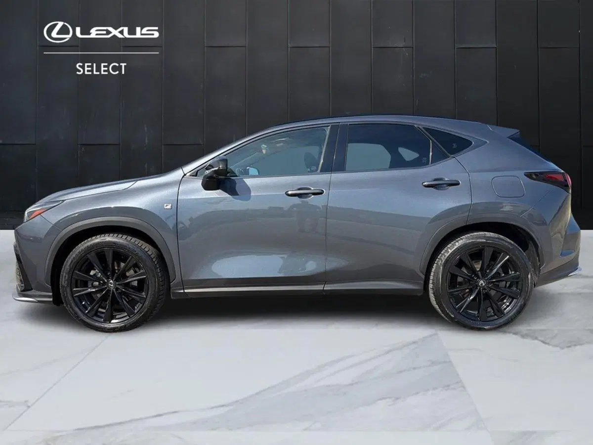 Lexus NX usata a Siracusa (3)