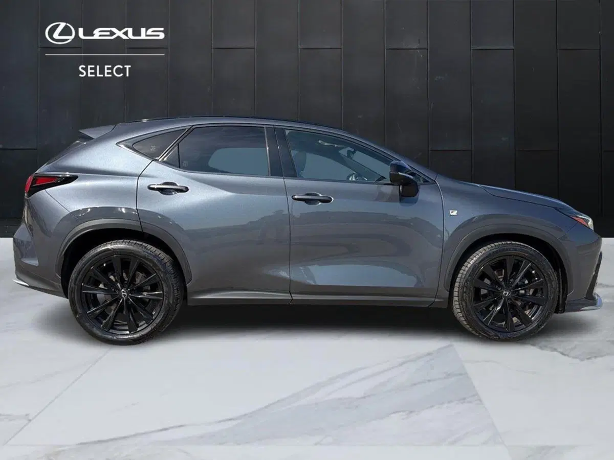 Lexus NX usata a Siracusa (4)