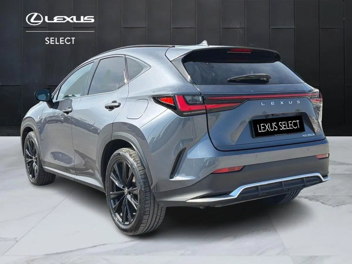 Lexus NX usata a Siracusa (5)