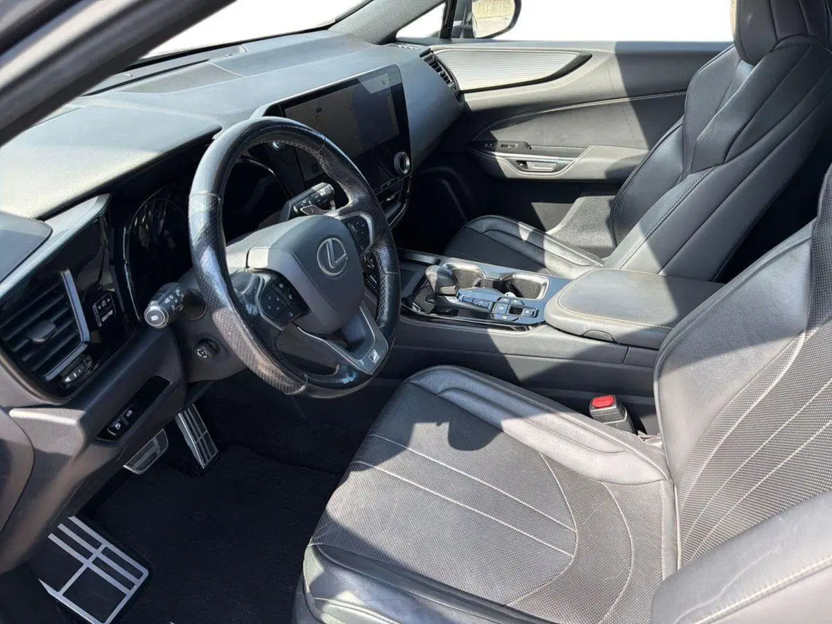 Lexus NX usata a Siracusa (7)