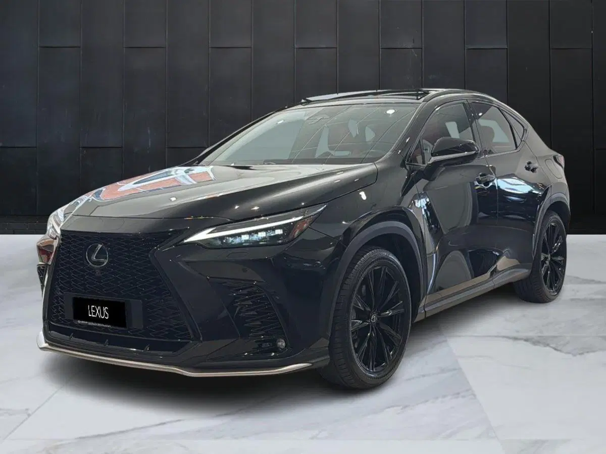 Lexus NX usata a Catania
