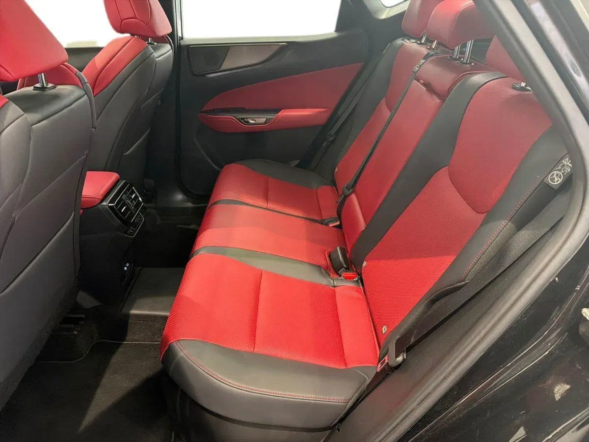 Lexus NX usata a Catania (10)