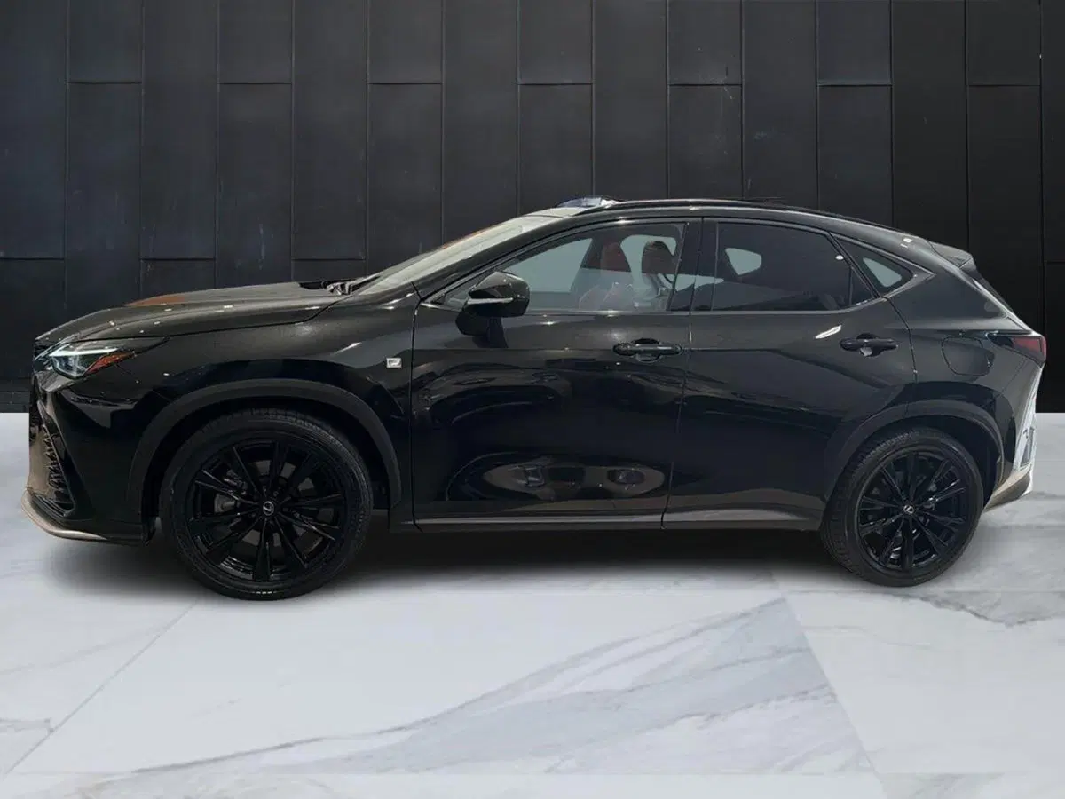 Lexus NX usata a Catania (2)