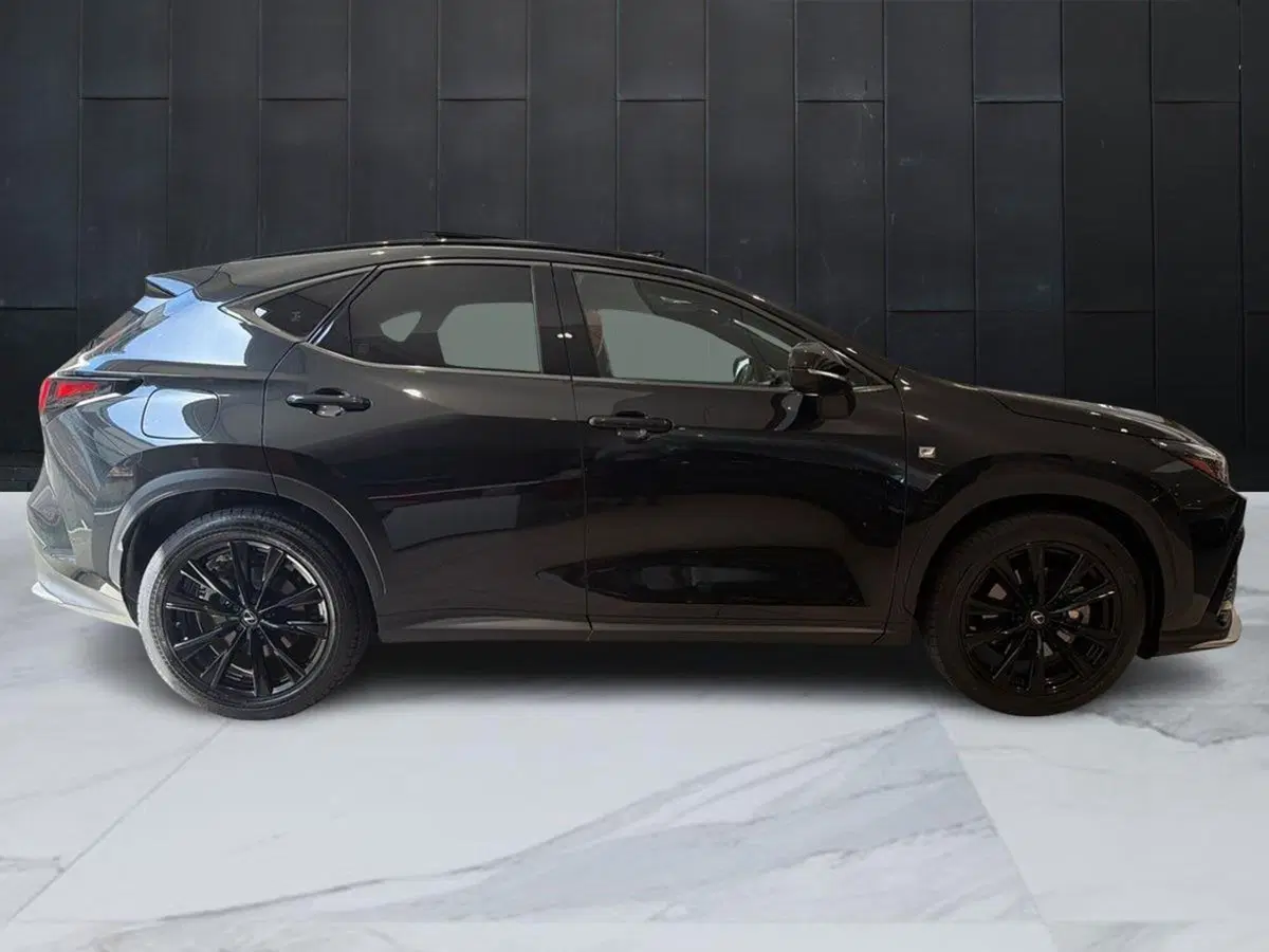 Lexus NX usata a Catania (3)