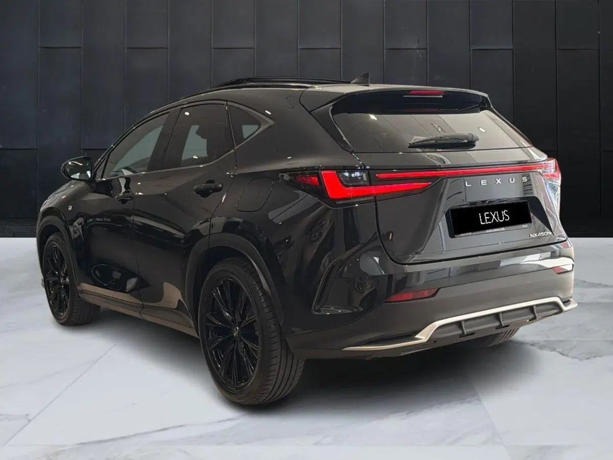 Lexus NX usata a Catania (4)