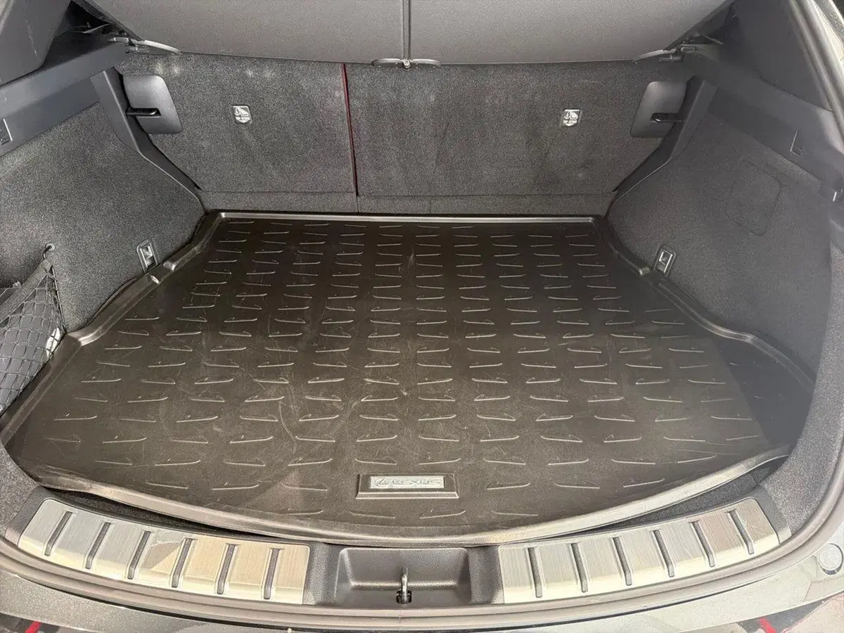 Lexus NX usata a Catania (5)