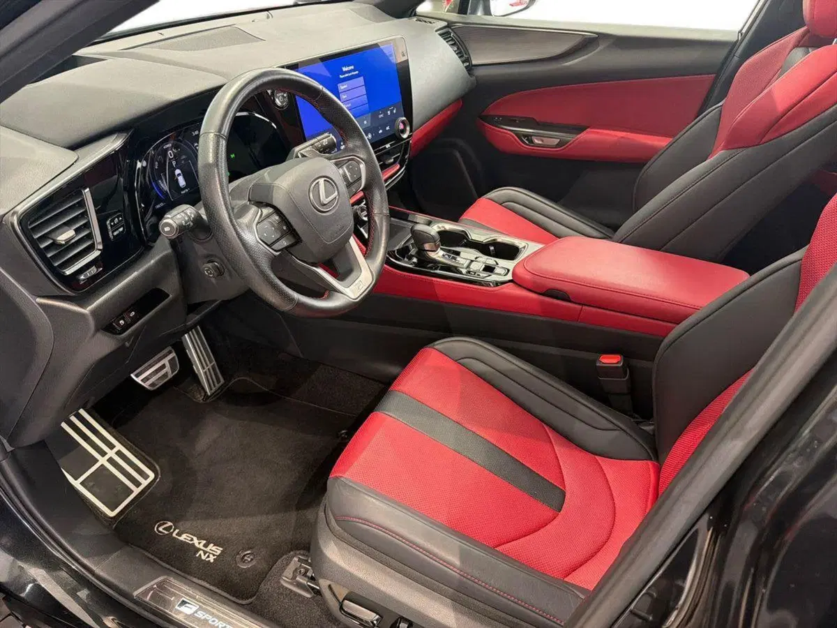 Lexus NX usata a Catania (6)