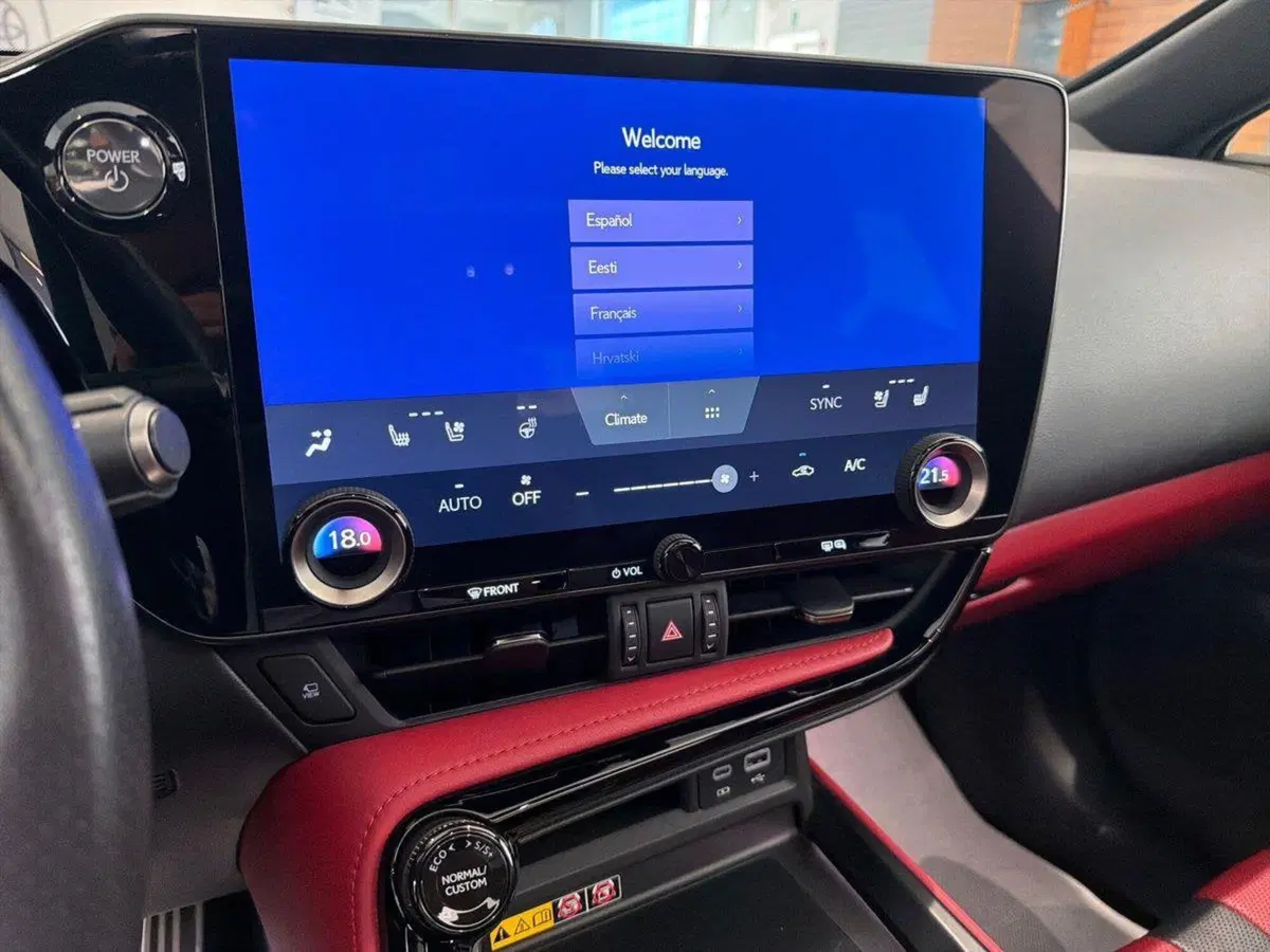 Lexus NX usata a Catania (9)
