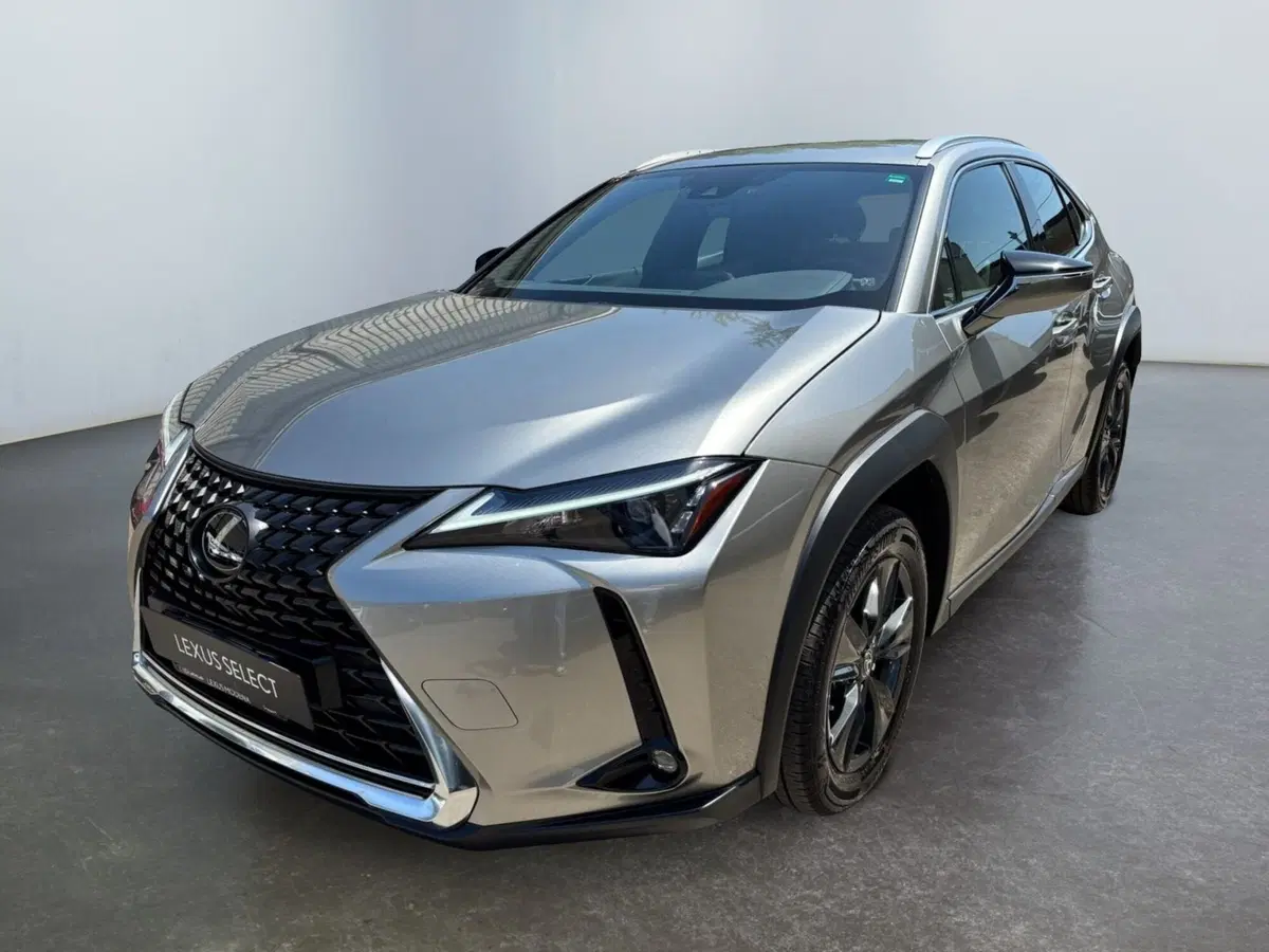 Lexus UX usata a Modena