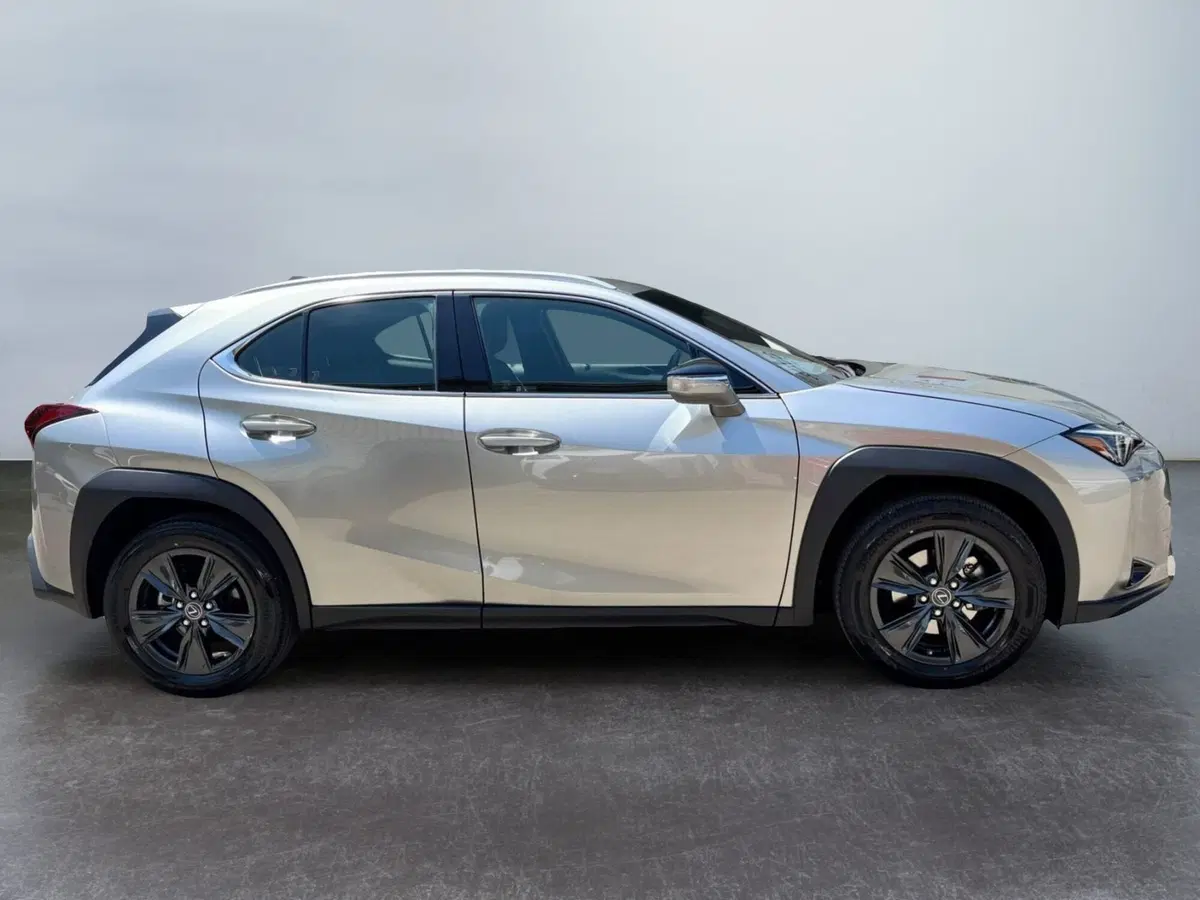 Lexus UX usata a Modena (5)