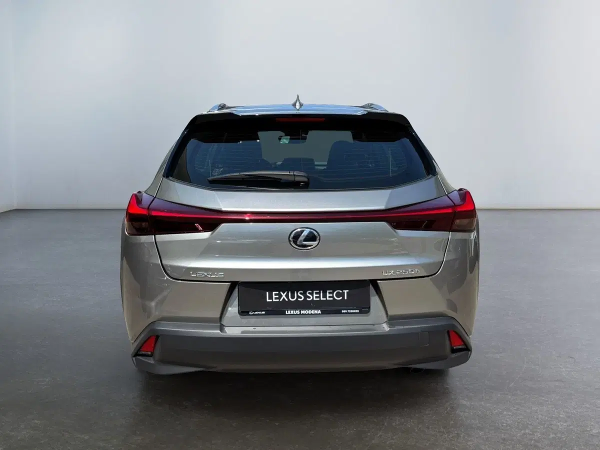 Lexus UX usata a Modena (6)