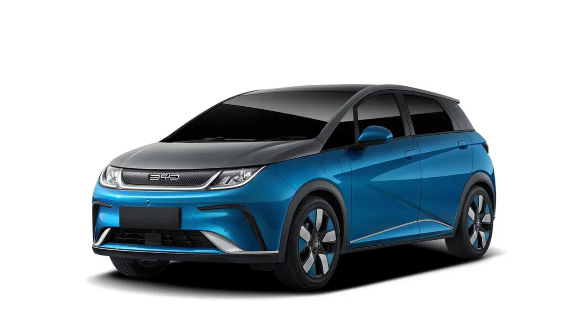 Byd Dolphin nuova a Grosseto