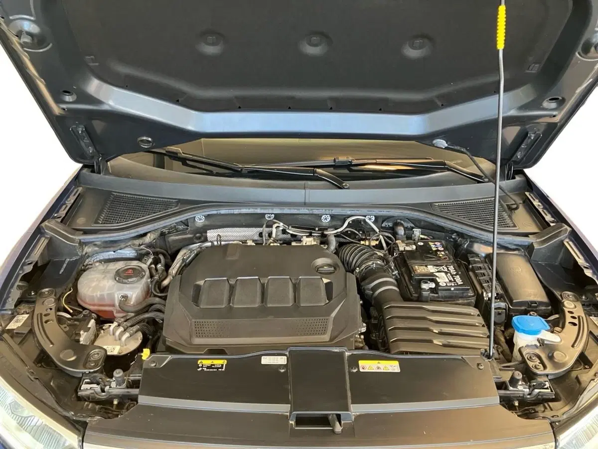 Volkswagen T-Roc usata a Bologna (11)