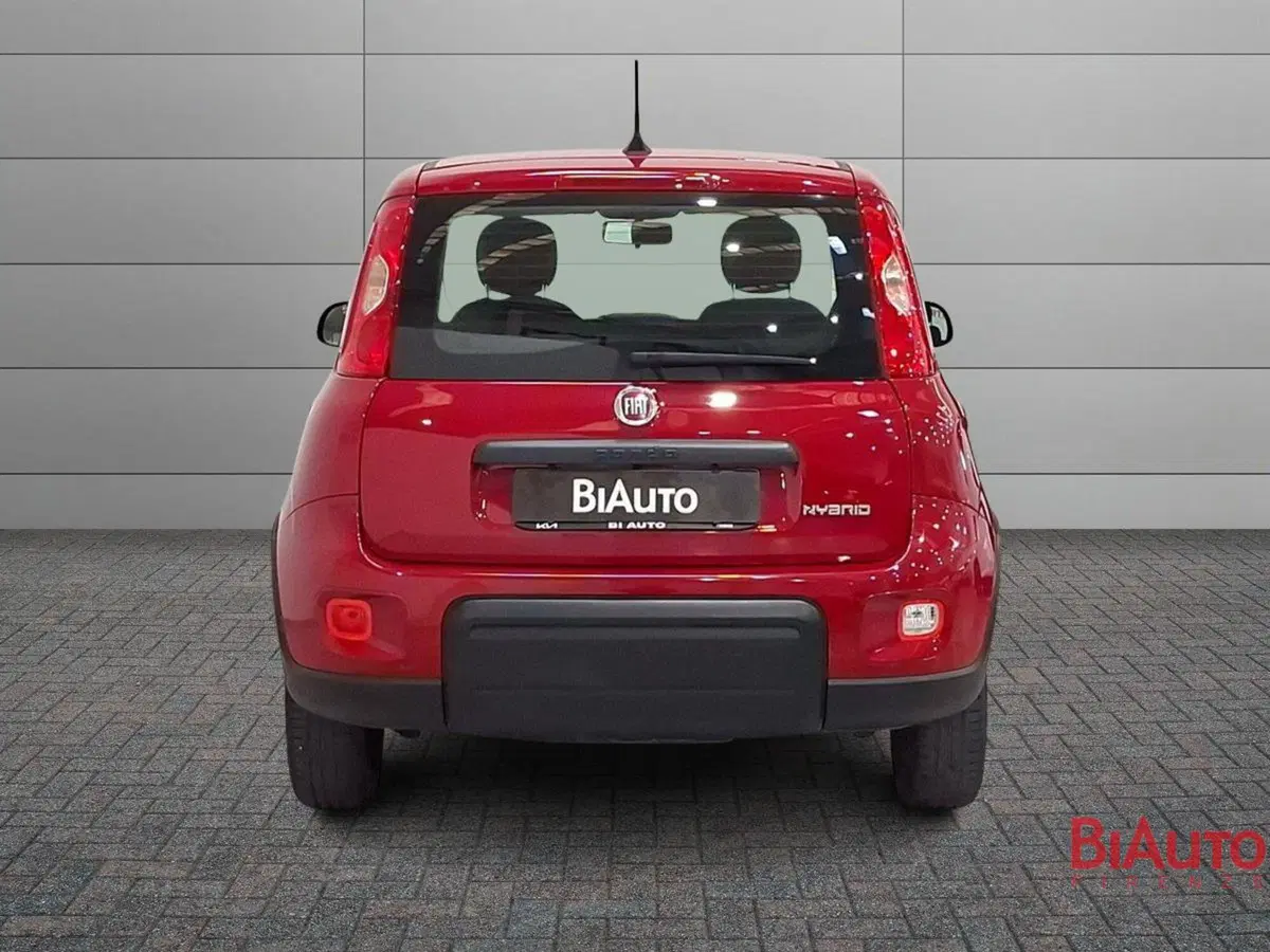 Fiat Panda Cross usata a Firenze (11)