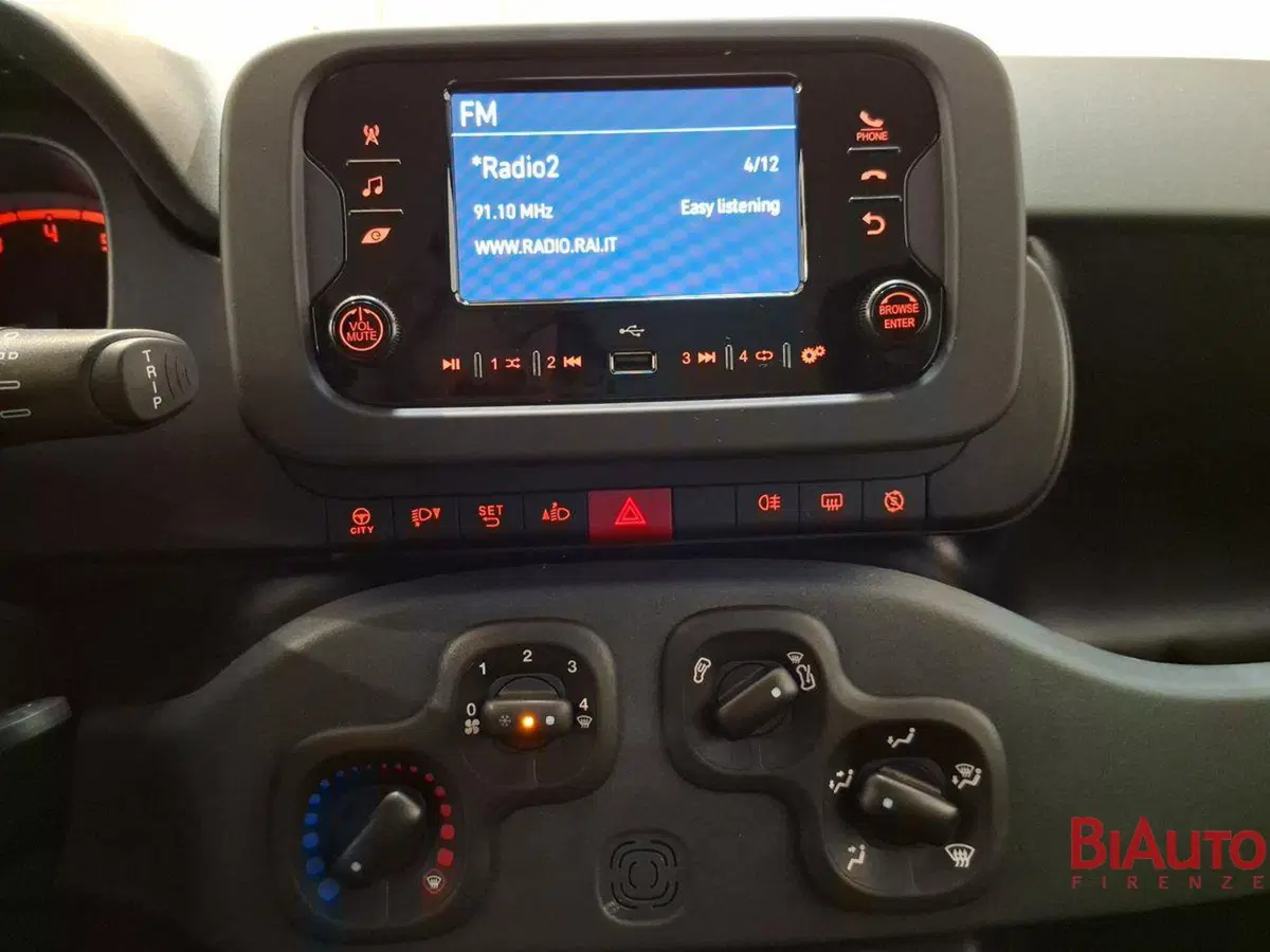 Fiat Panda Cross usata a Firenze (9)