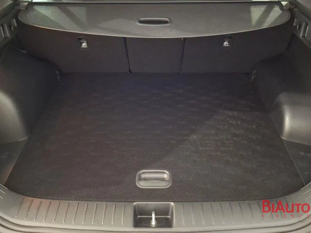 Kia Sportage usata a Firenze (5)