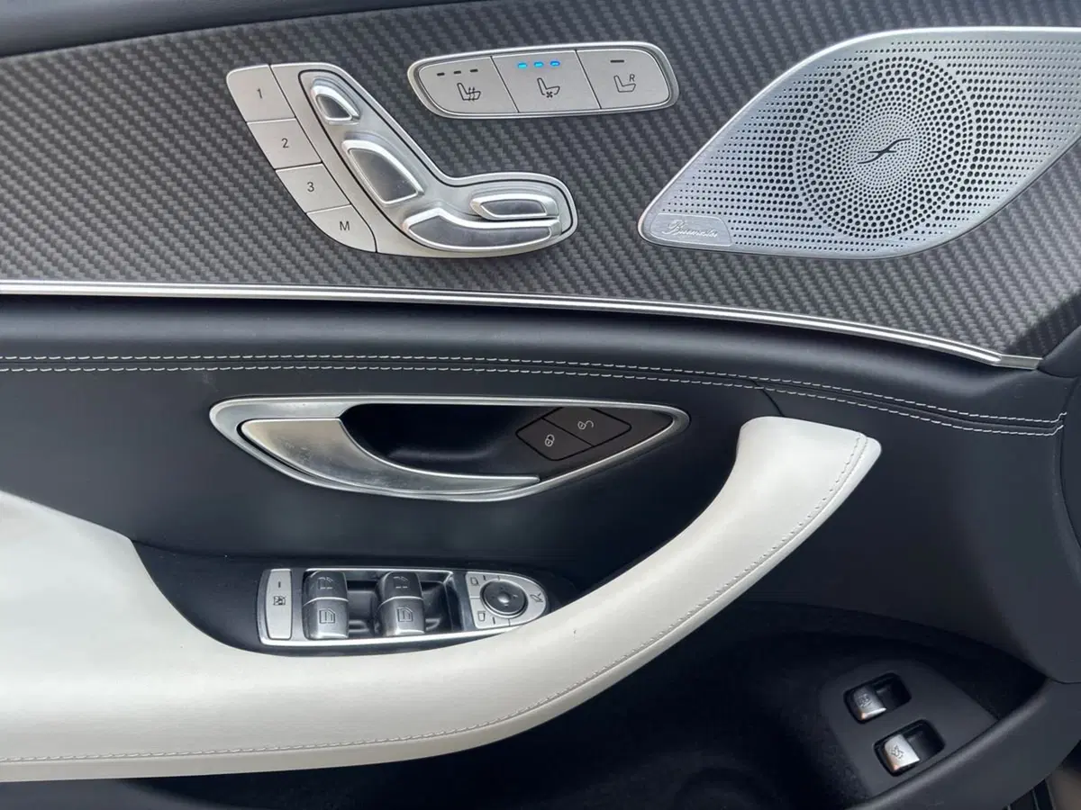 Mercedes-Benz AMG GT Coupé 4 usata a Pescara (12)