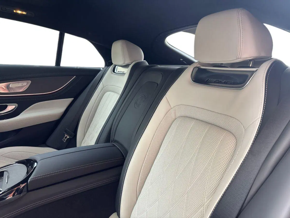 Mercedes-Benz AMG GT Coupé 4 usata a Pescara (13)
