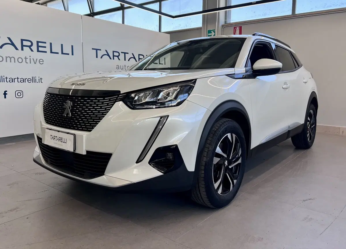 Peugeot 2008 usata a Bari (3)