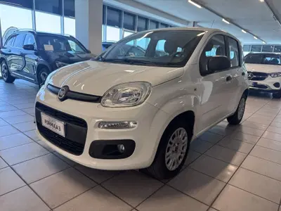 Fiat Panda 1.2 Easy del 2018 usata a Messina