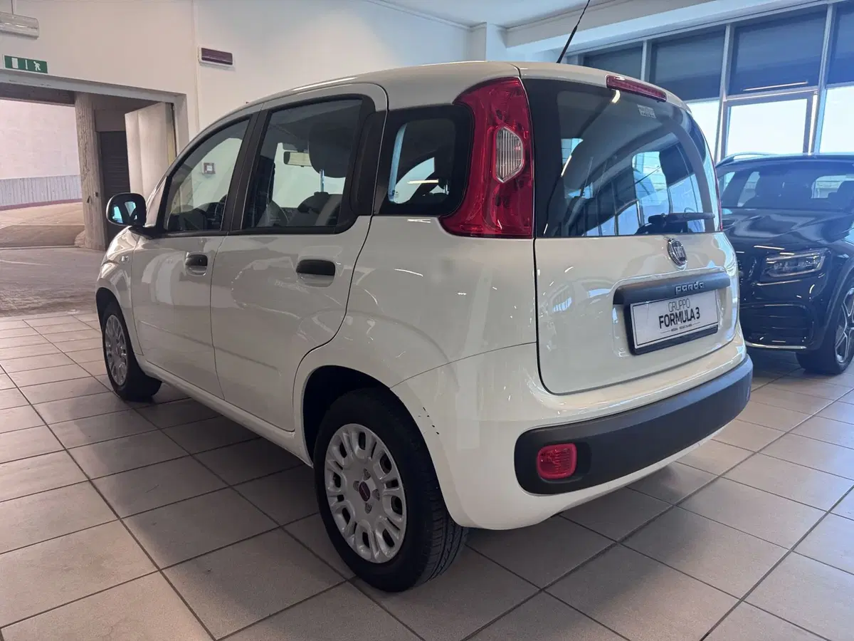 Fiat Panda usata a Messina (4)