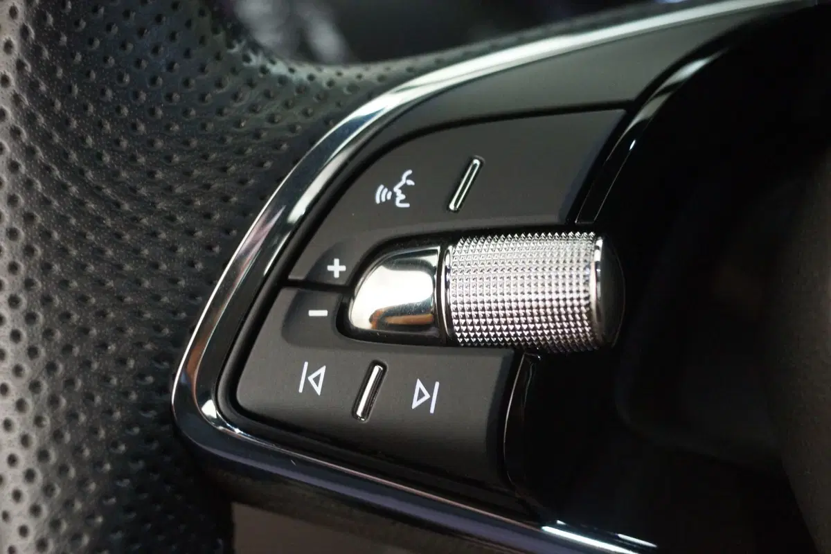 Skoda Kamiq usata a Torino (12)