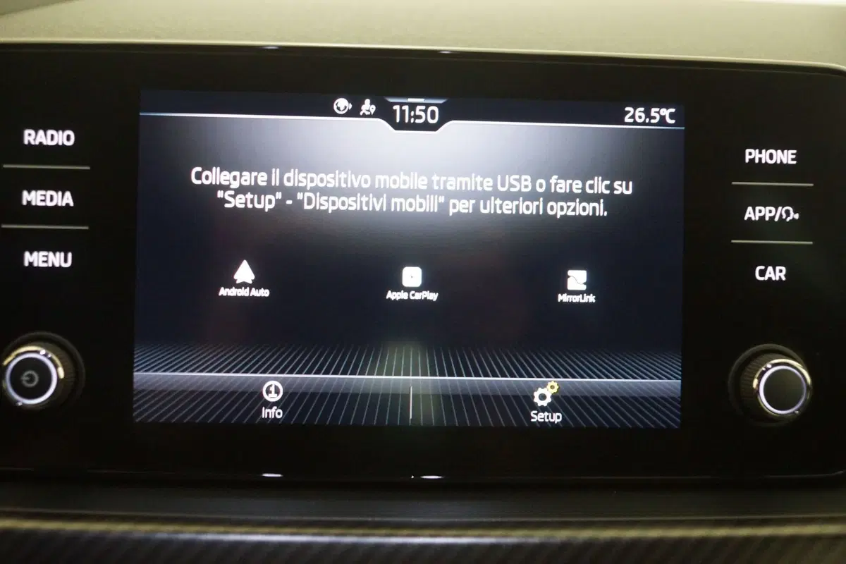 Skoda Kamiq usata a Torino (18)