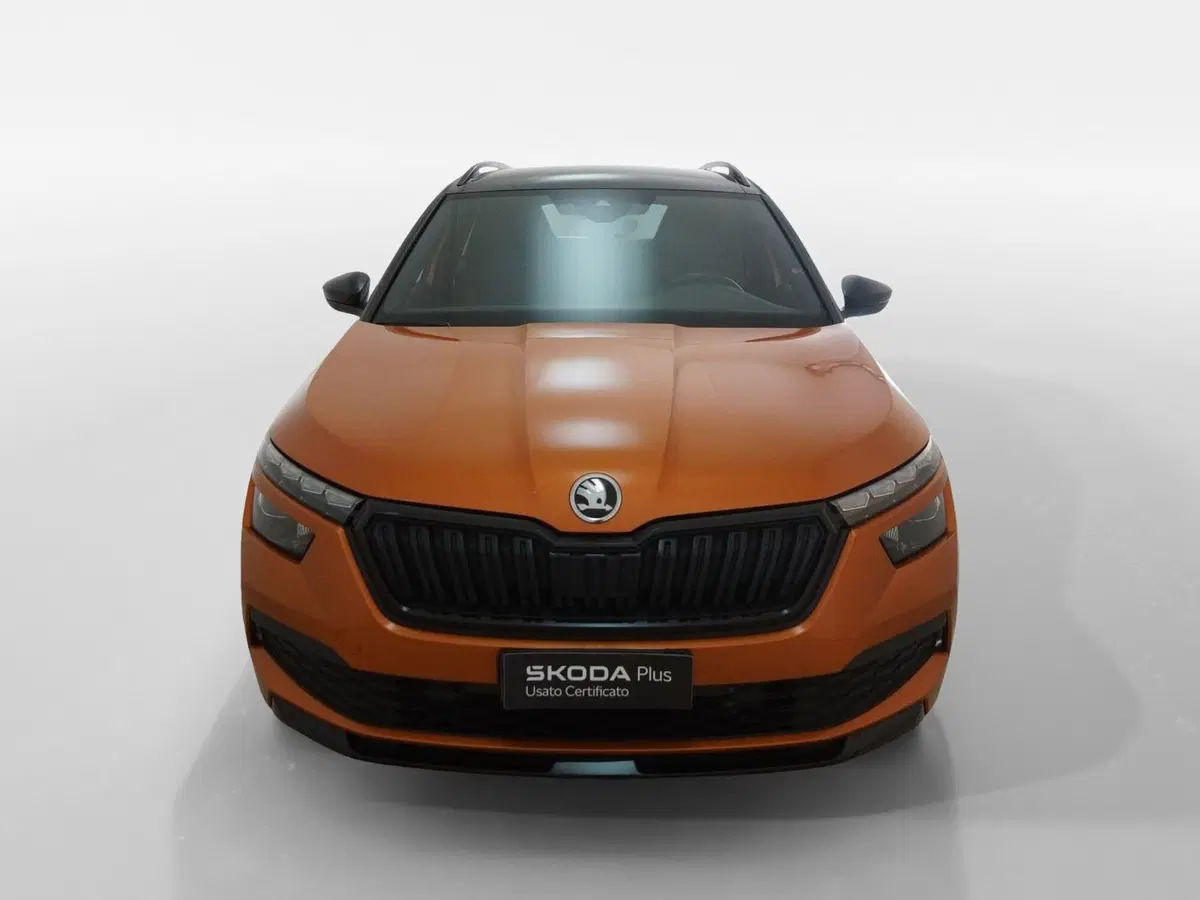 Skoda Kamiq usata a Torino (2)
