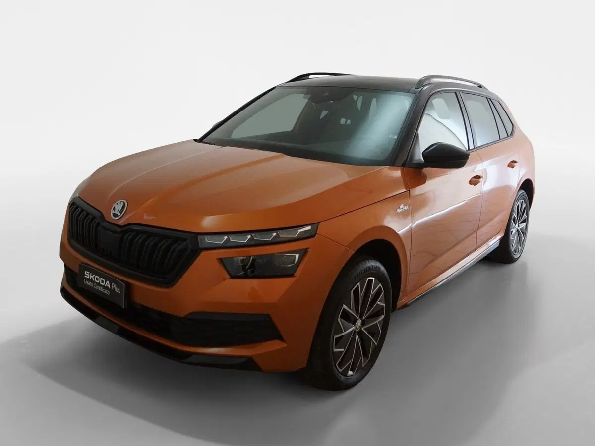 Skoda Kamiq usata a Torino (3)