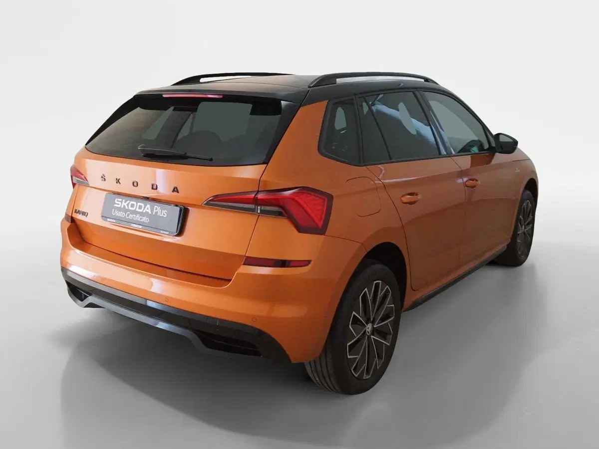 Skoda Kamiq usata a Torino (6)