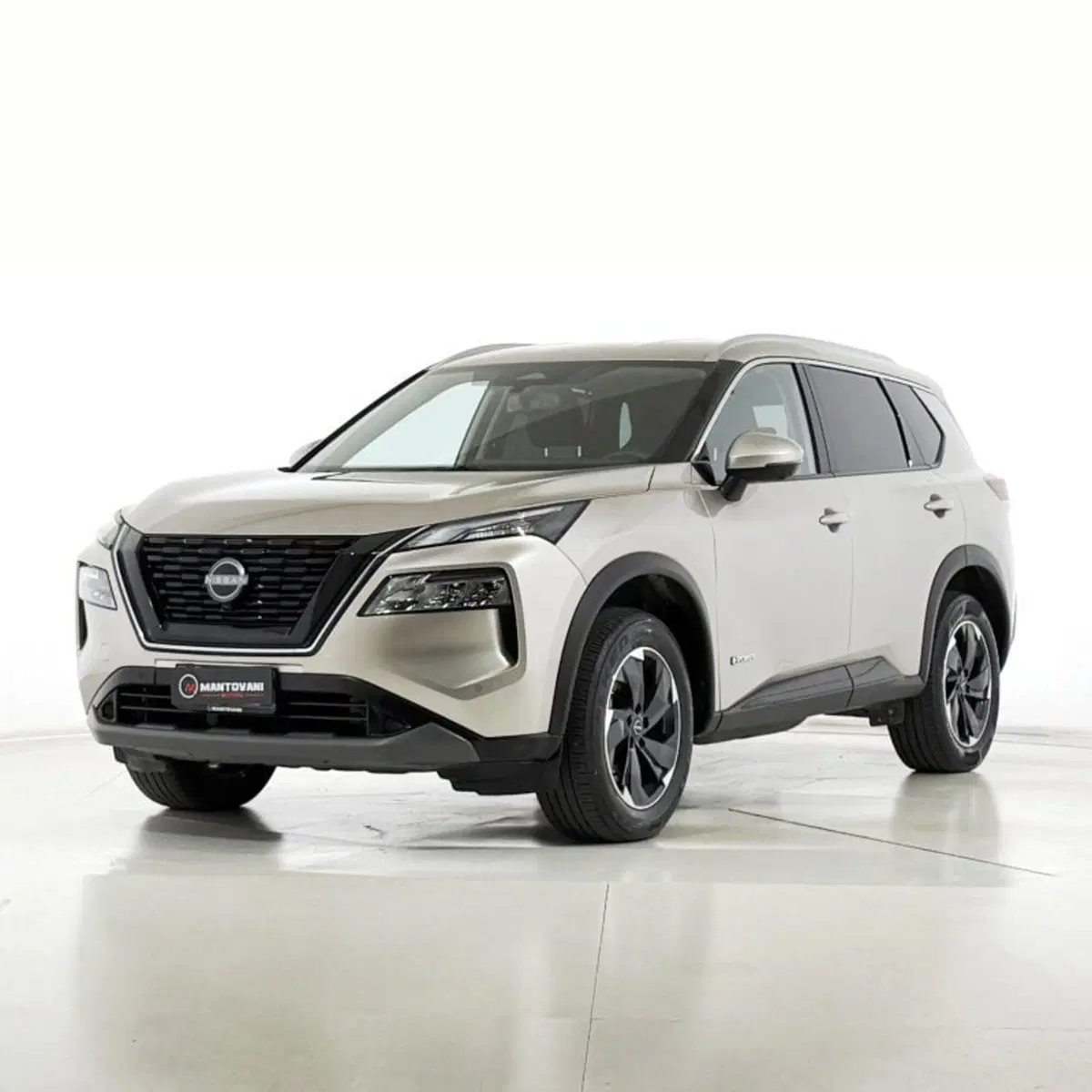 Nissan X-Trail usata a Perugia