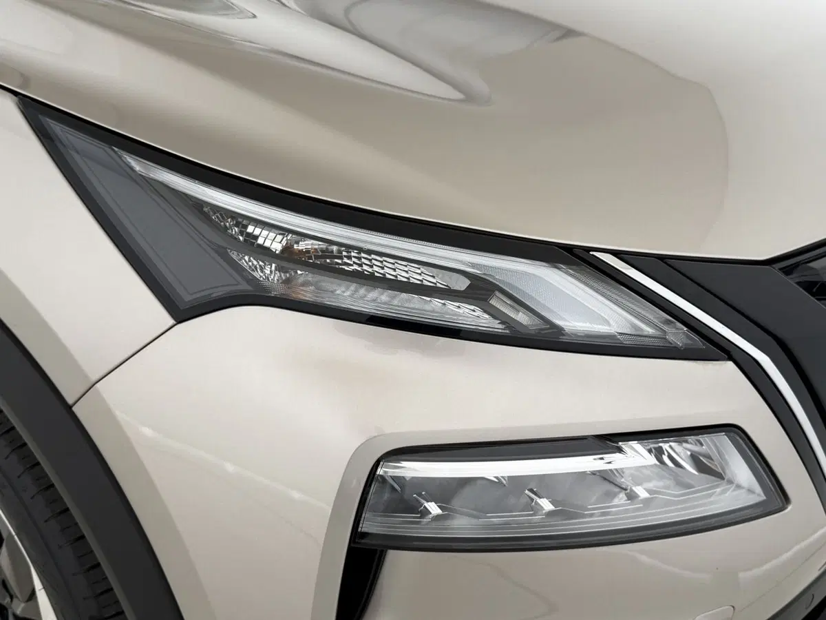 Nissan X-Trail usata a Perugia (14)