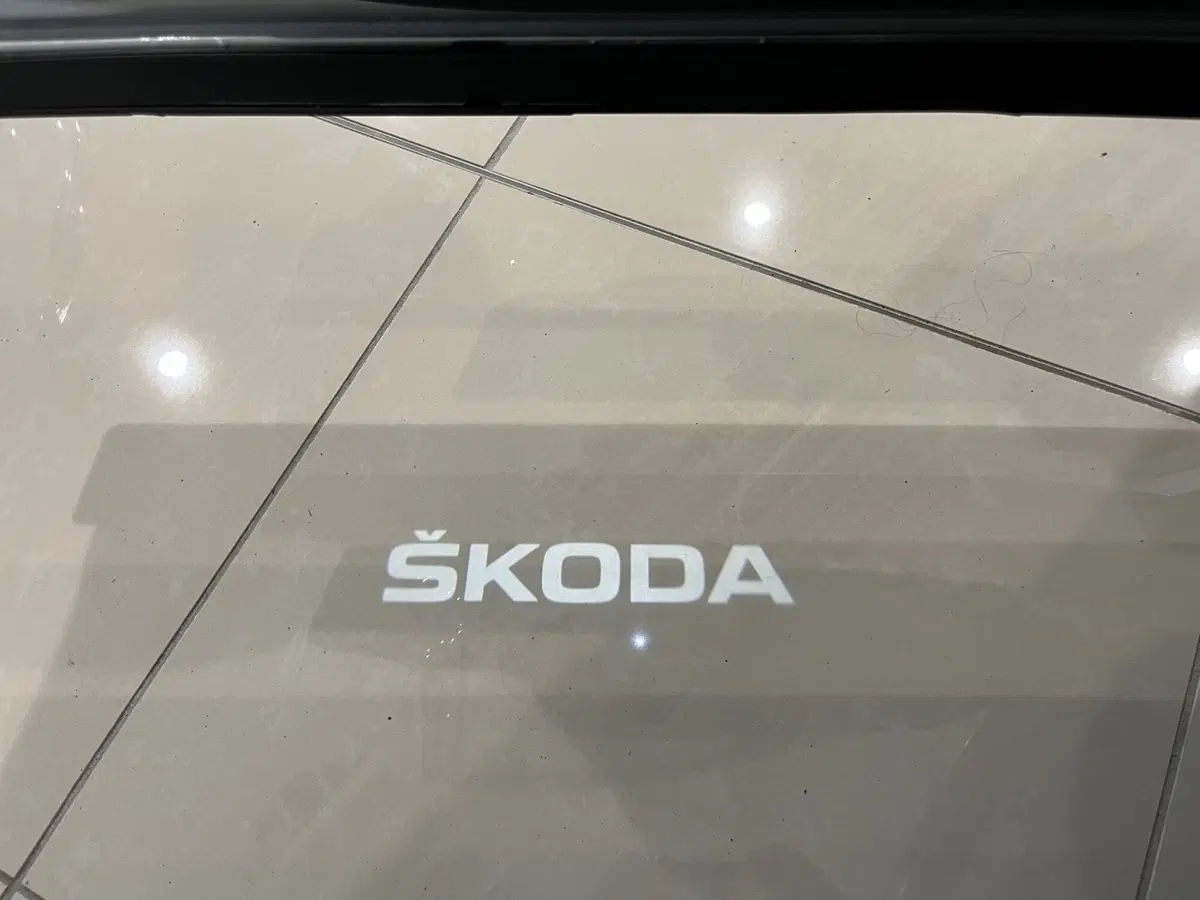 Skoda Kodiaq usata a Vercelli (11)