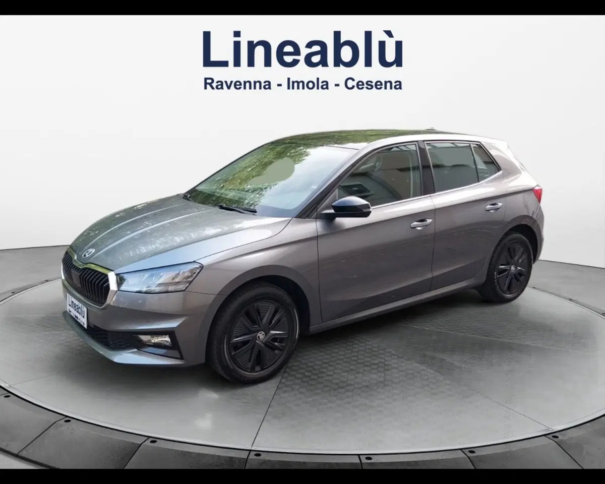 Skoda Fabia usata a Forlì-Cesena
