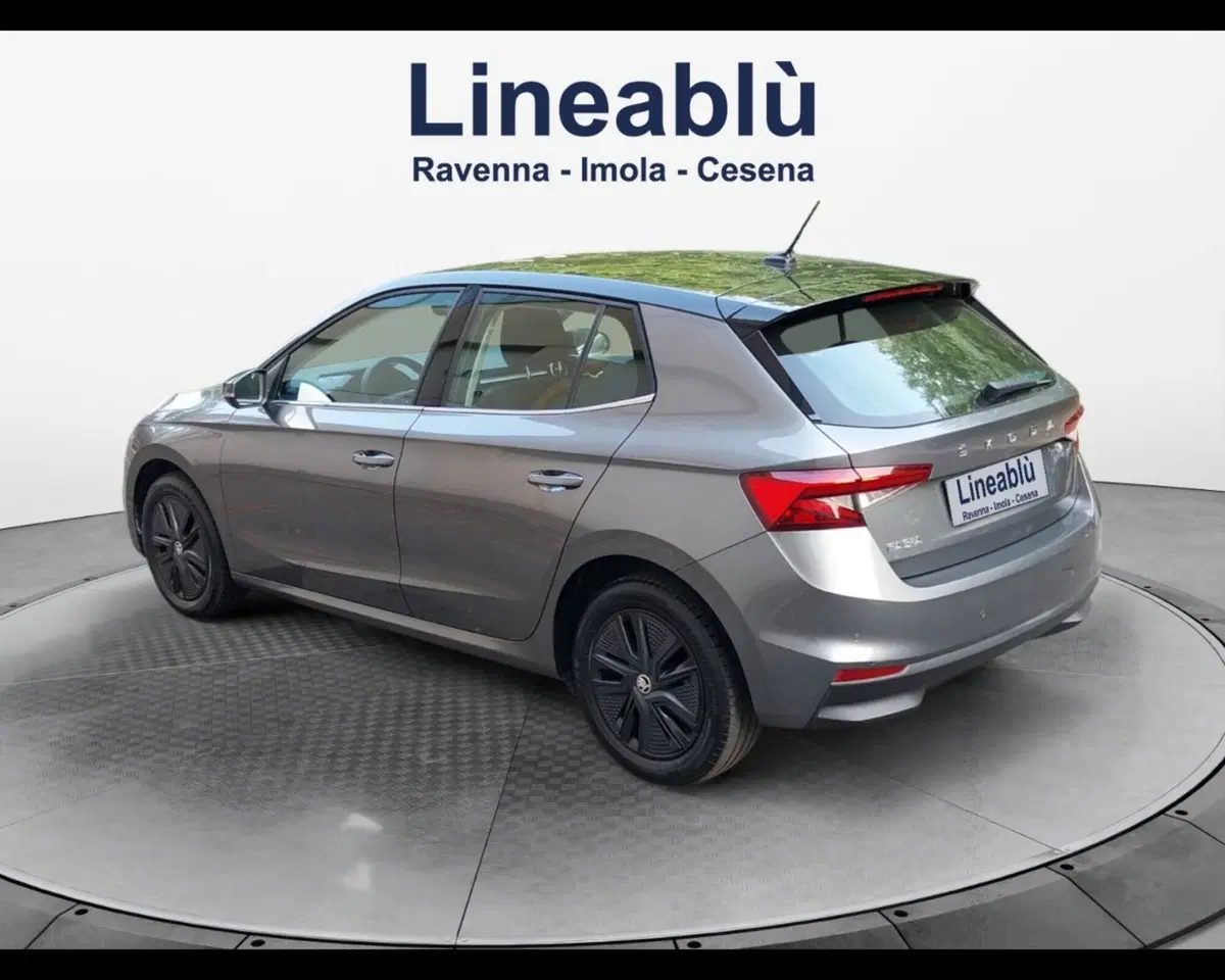 Skoda Fabia usata a Forlì-Cesena (3)