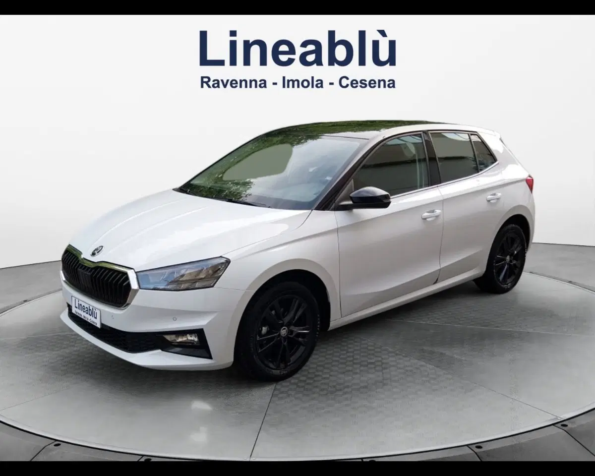 Skoda Fabia usata a Forlì-Cesena