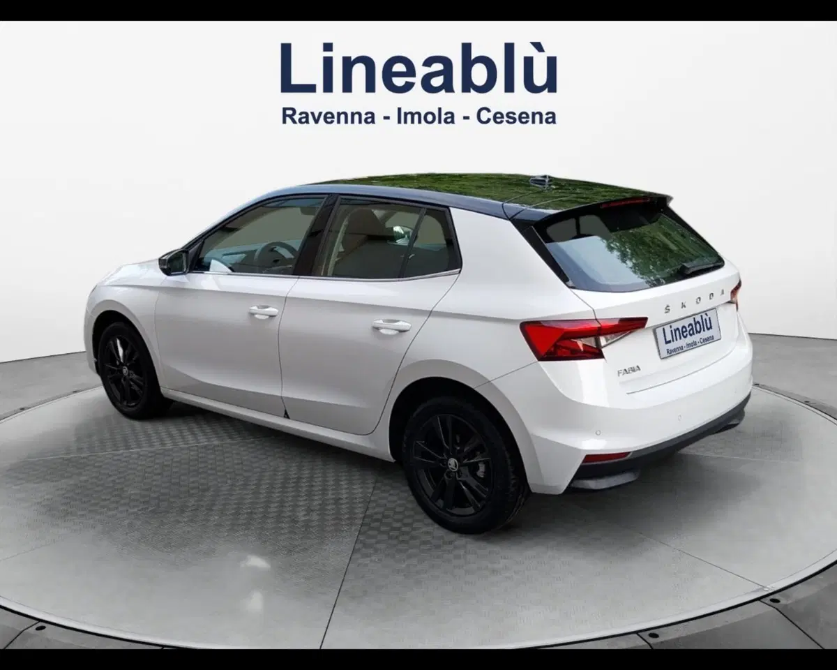Skoda Fabia usata a Forlì-Cesena (3)