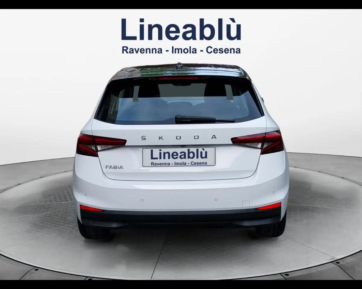 Skoda Fabia usata a Forlì-Cesena (4)