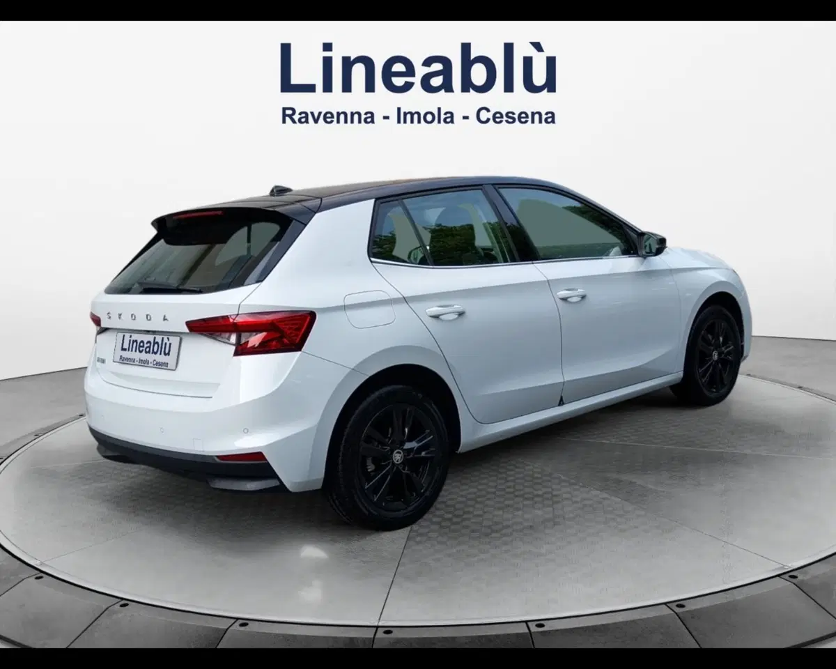 Skoda Fabia usata a Forlì-Cesena (5)