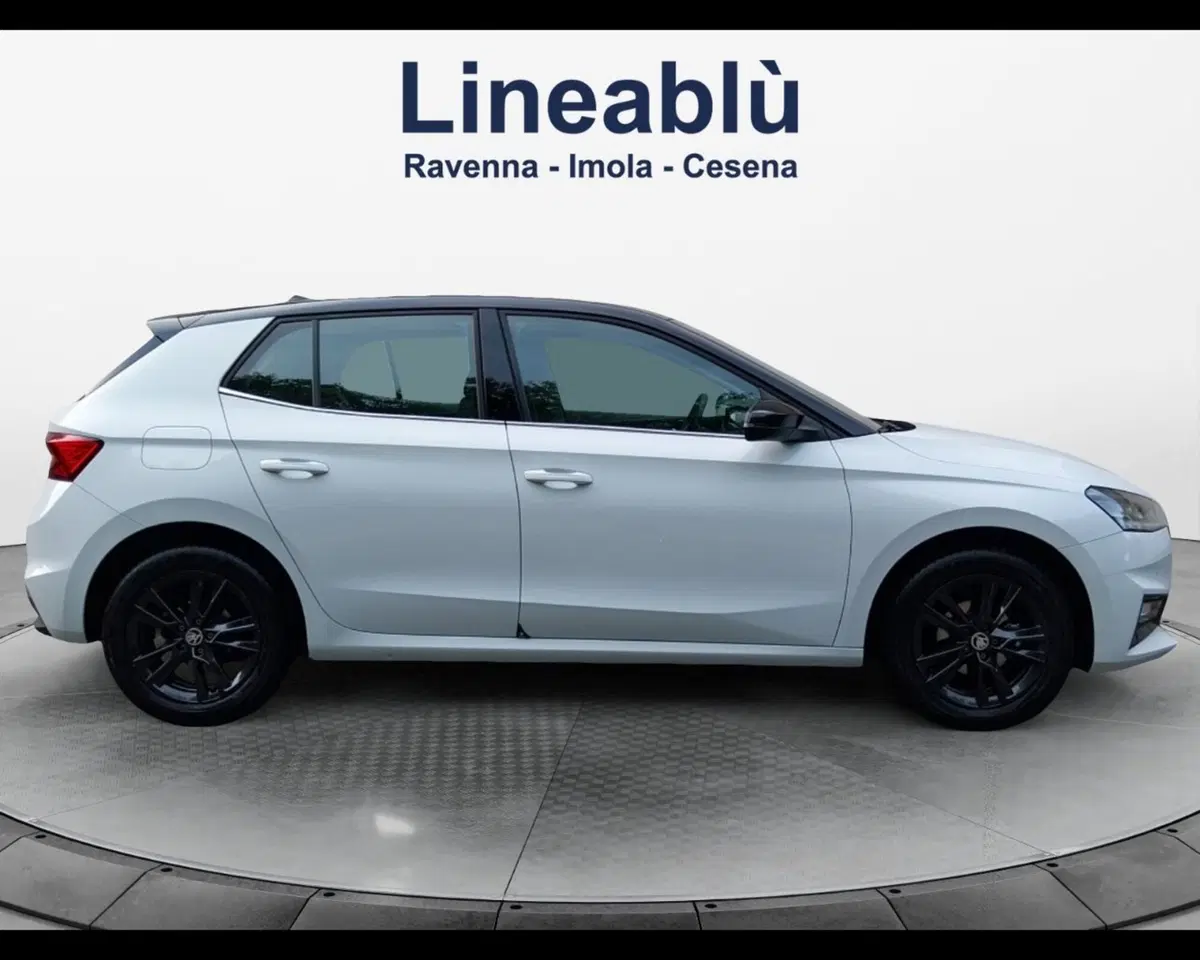 Skoda Fabia usata a Forlì-Cesena (6)