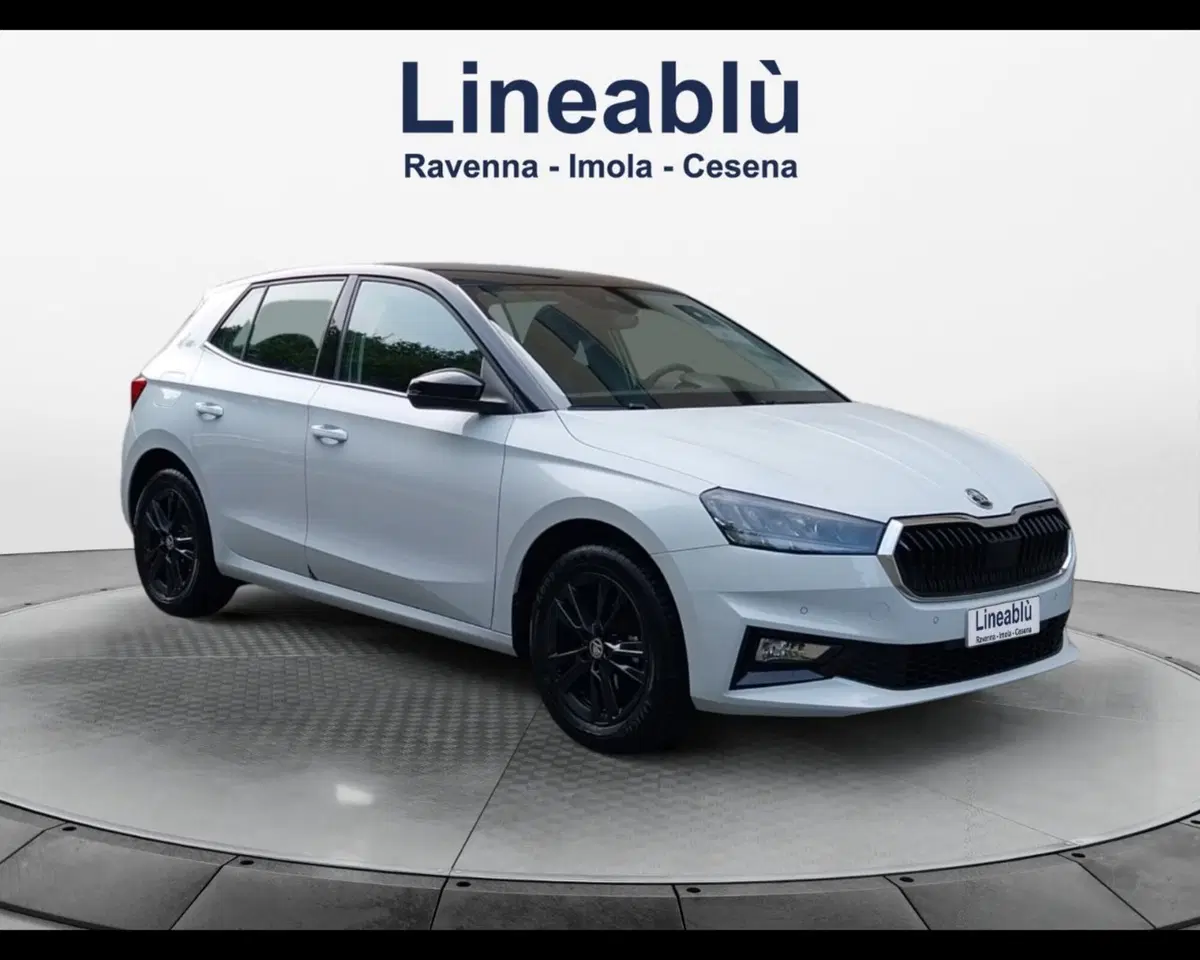 Skoda Fabia usata a Forlì-Cesena (7)