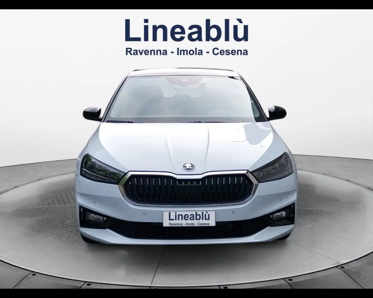 Skoda Fabia usata a Forlì-Cesena (8)