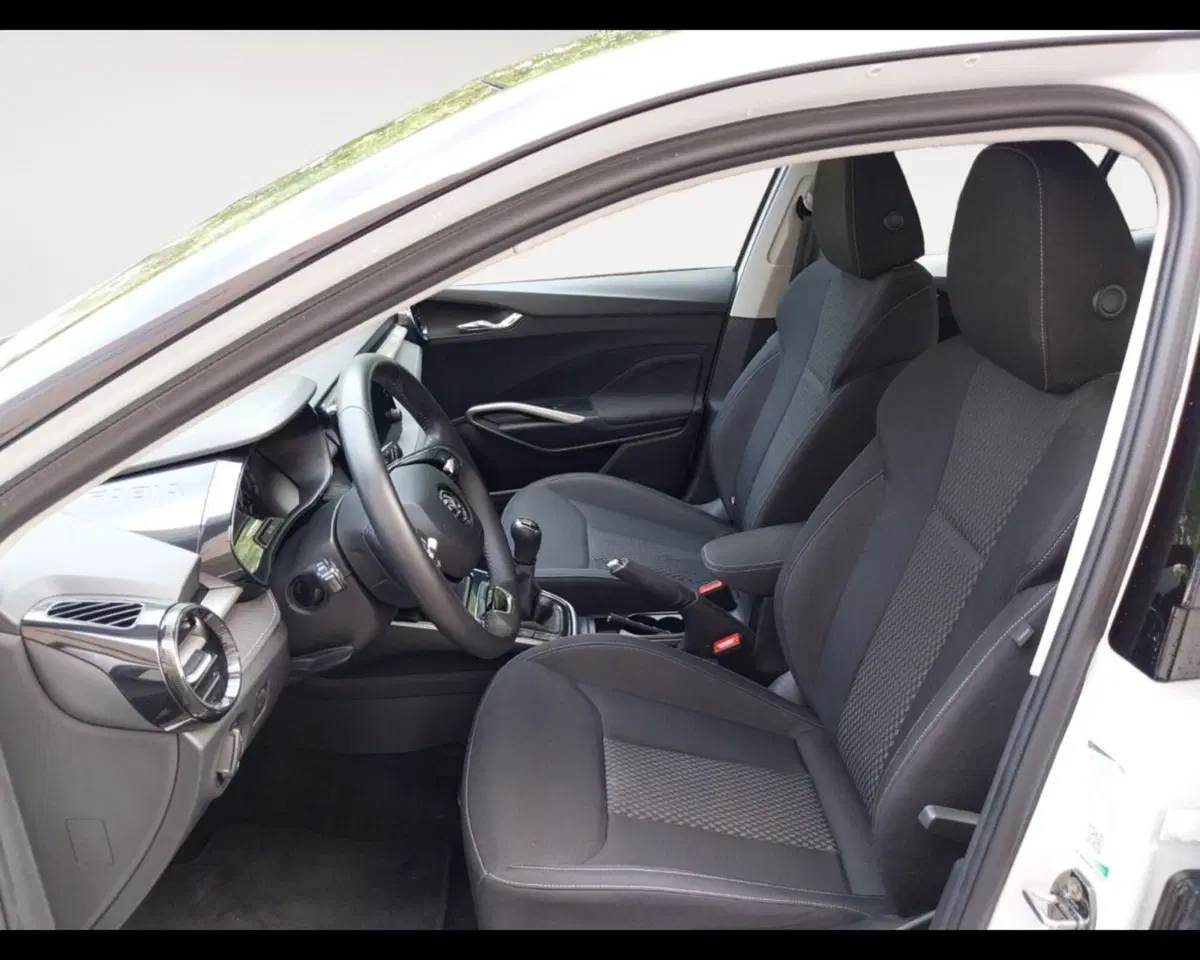 Skoda Fabia usata a Forlì-Cesena (9)