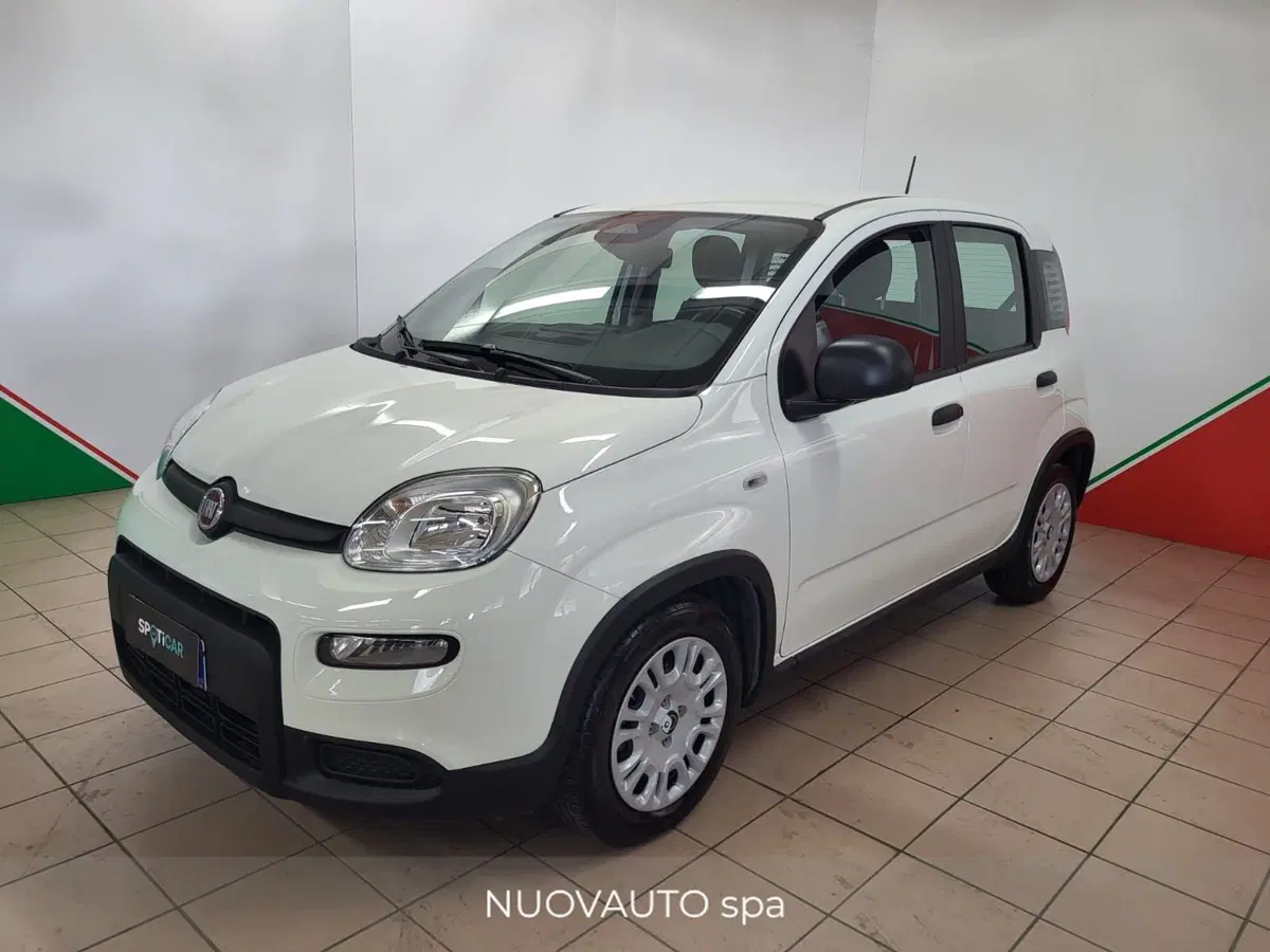 Fiat Panda Cross usata a Arezzo