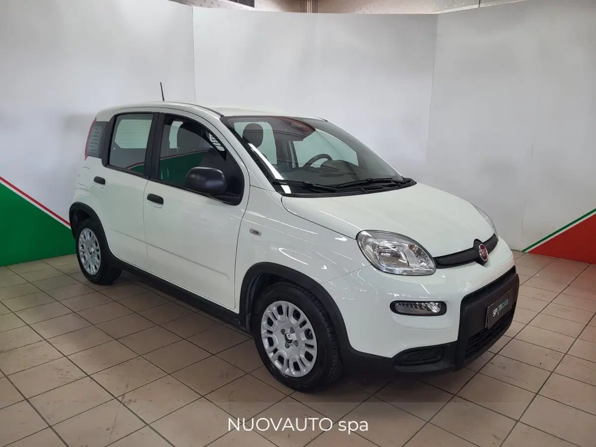 Fiat Panda Cross usata a Arezzo (2)