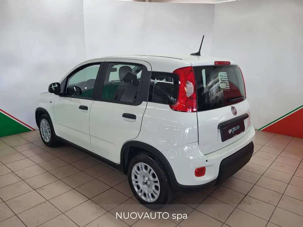 Fiat Panda Cross usata a Arezzo (3)
