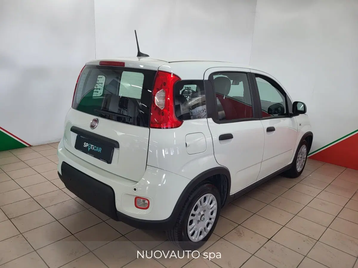 Fiat Panda Cross usata a Arezzo (4)