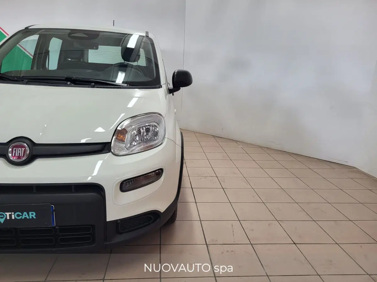 Fiat Panda Cross usata a Arezzo (5)